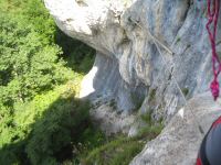 IMG_8525.jpg
